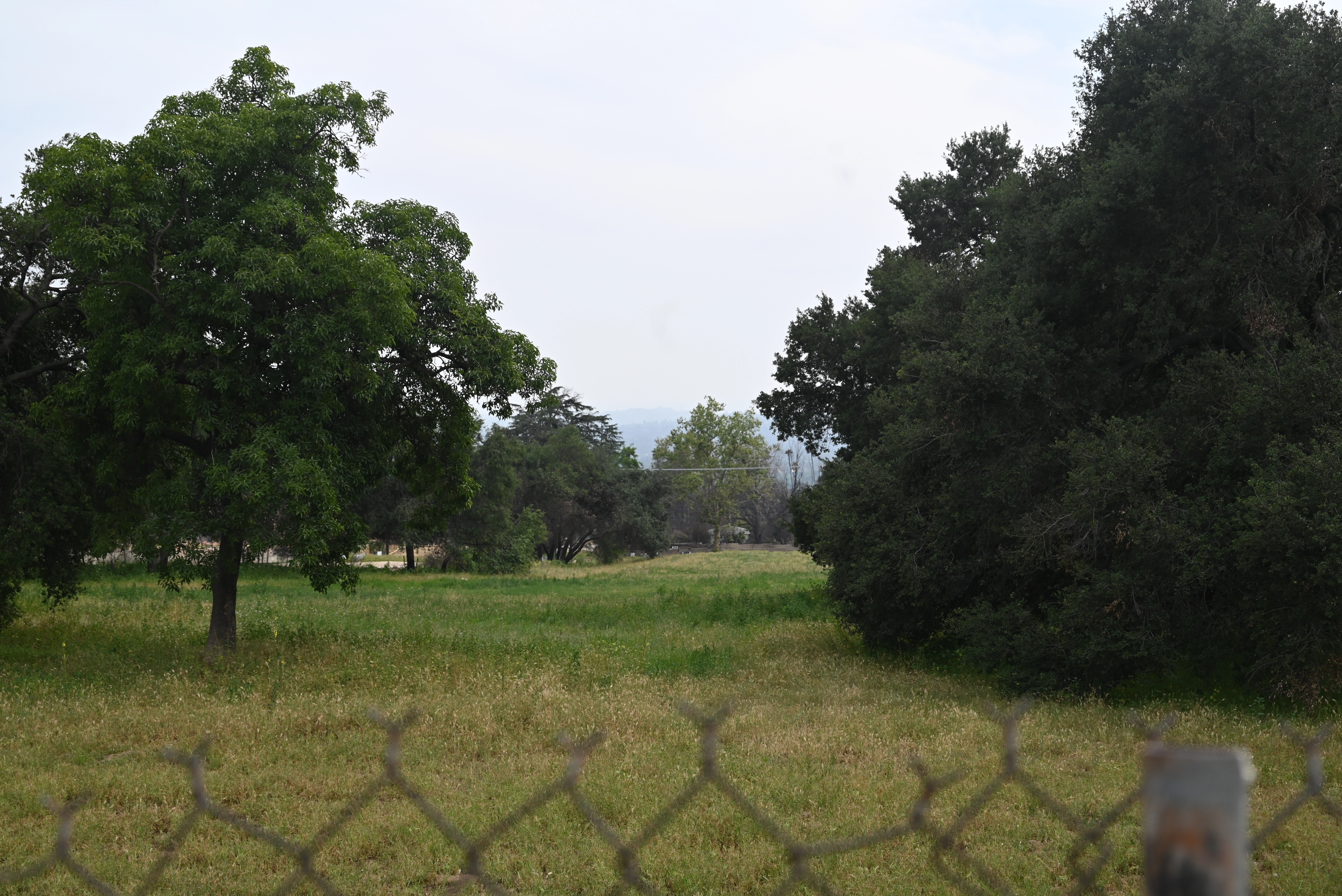 Altadena - 2025